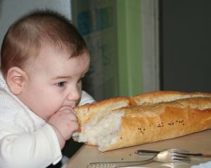 730068_baby_bread